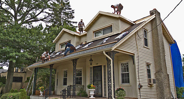 Professional Roofing Contractor in Mayfield, KY